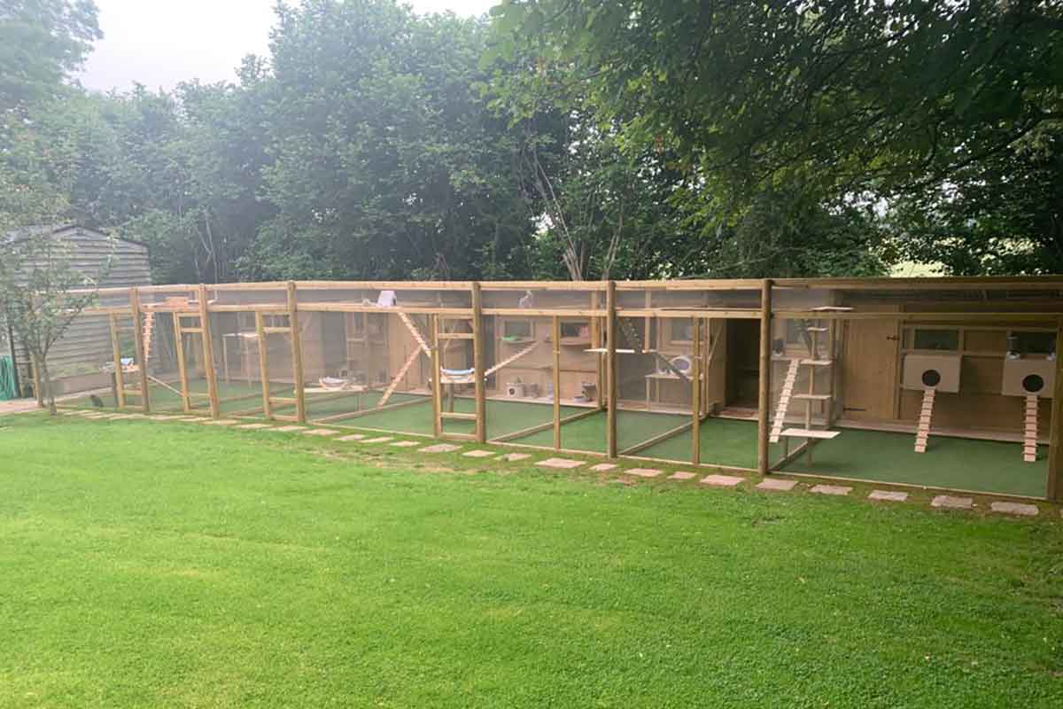 ClearMesh / Aviary Mesh